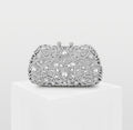 Sarah Express Crystal Beaded Evening Clutch Bag Sliver