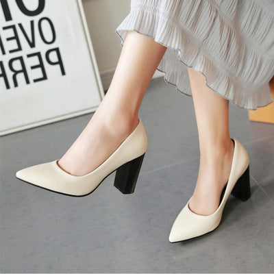 Sarah Express Classic Pointed Toe High Heel Pumps