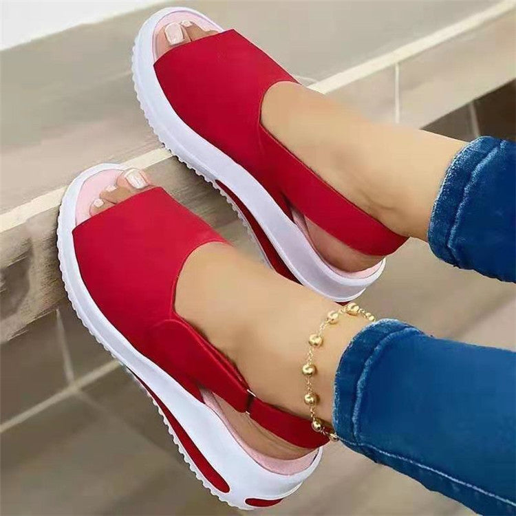 8dcd54ae8fd4102794ed56775ffc8d35