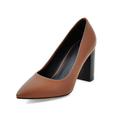 Sarah Express Classic Pointed Toe High Heel Pumps Brown
