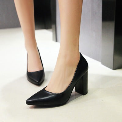 Sarah Express Classic Pointed Toe High Heel Pumps