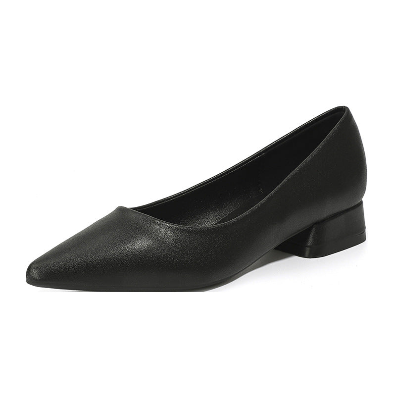Sarah Express Chunky Heel Pointed Toe Office Pumps