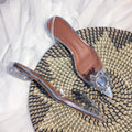 Sarah Express Transparent Embellished Pointed Toe Heels Transparent 3cm
