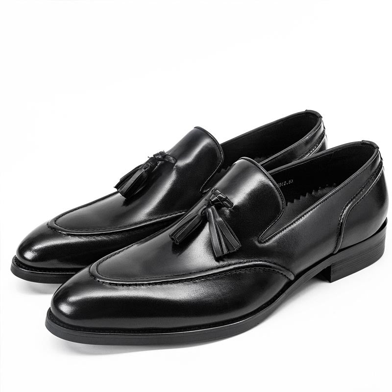 Sarah Express Men's Tassel Business Casual Loafers