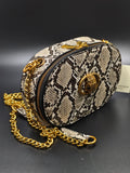 Sarah Express Patent Leather Horizontal Square Crossbody Bag Snake Pattern Color 21x14x7cm