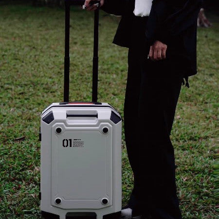 Sarah Express 20-Inch Universal Wheel Travel Luggage
