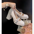 High Heels Women's 2025 New Springsummer Shallow Mouth Thick Heel High-end Sense Versatile Retro Mary Jane Bow Women's Shoes – product detail alternate view