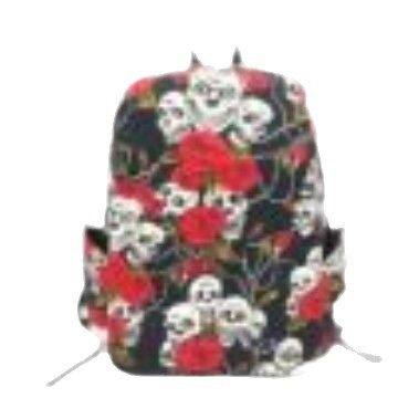 Sarah Express Skull and Rose Gothic Canvas Backpack