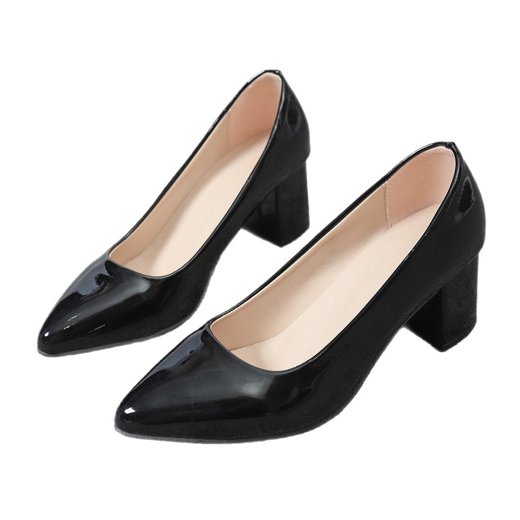 Sarah Express French Style Pointed Toe Low Heels