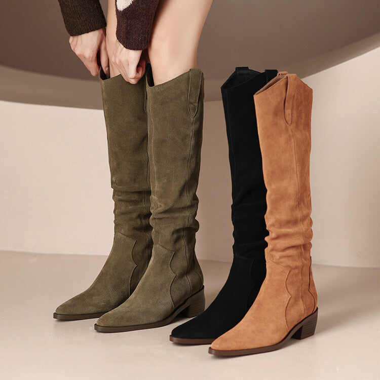 Sarah Express Pointed Toe Suede Knee High Boots