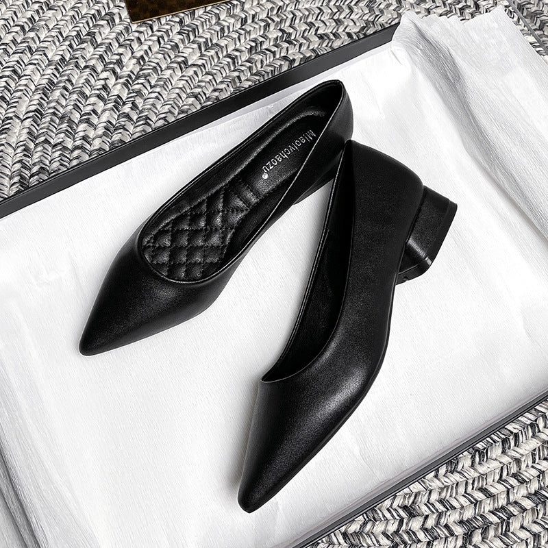 Sarah Express Chunky Heel Pointed Toe Office Pumps