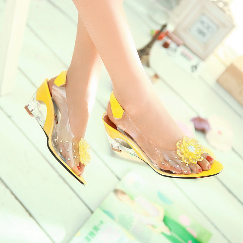 Sarah Express Transparent Crystal Peep Toe High Heels