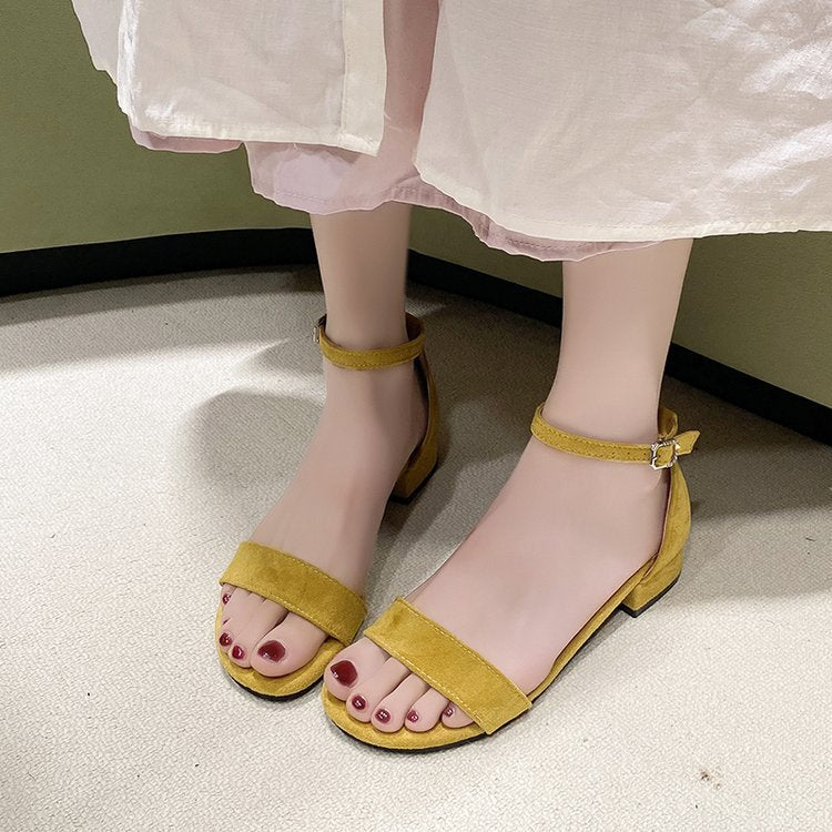 Sarah Express Suede Open-Toe Chunky Heel Ankle Sandals