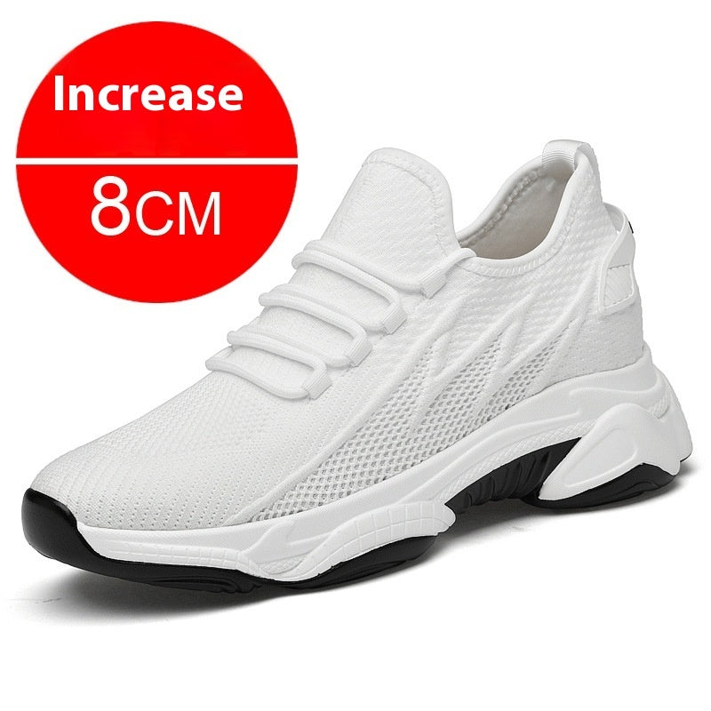 366db82d94cc6156561f47c8dc8ee24e