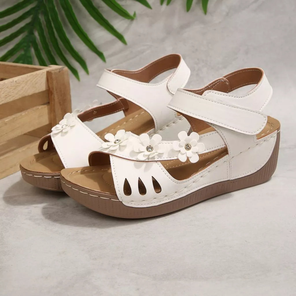 be1dc021-b80f-4e17-a3b9-1a8db16ced7a-Max-Origin