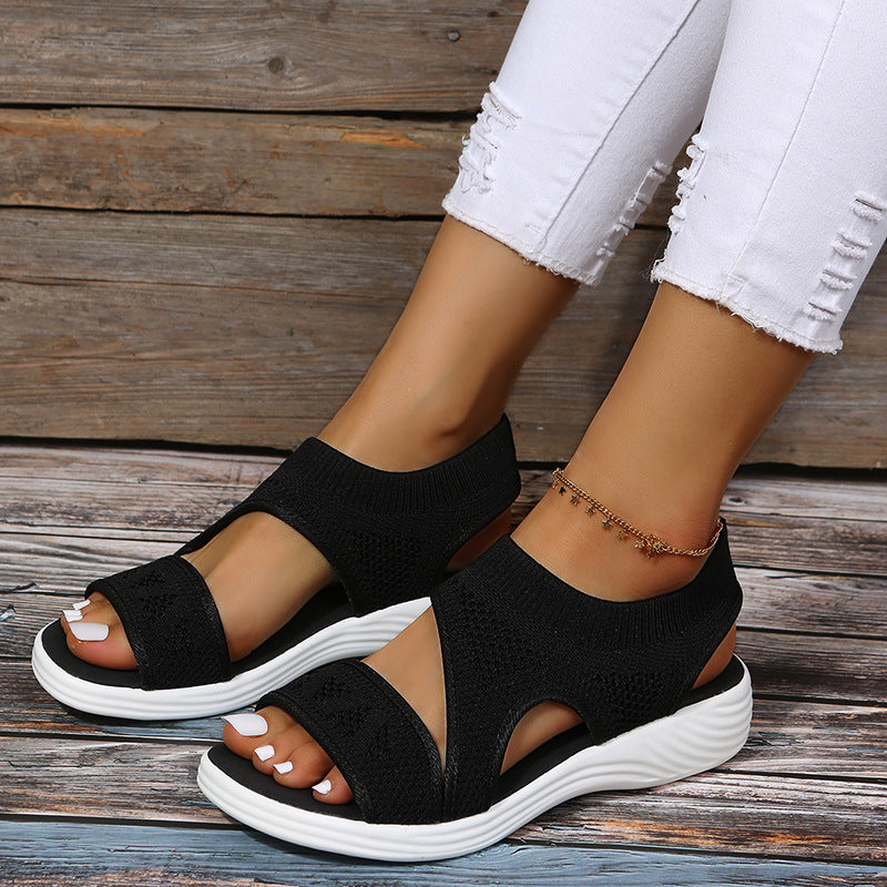 113ae6da6b41e9e75ad8fb1540e2d5d4