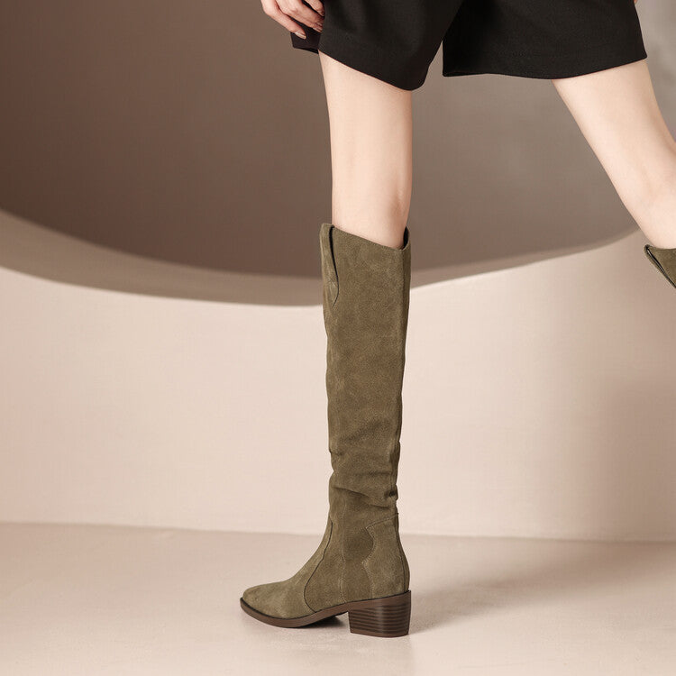 Sarah Express Pointed Toe Suede Knee High Boots